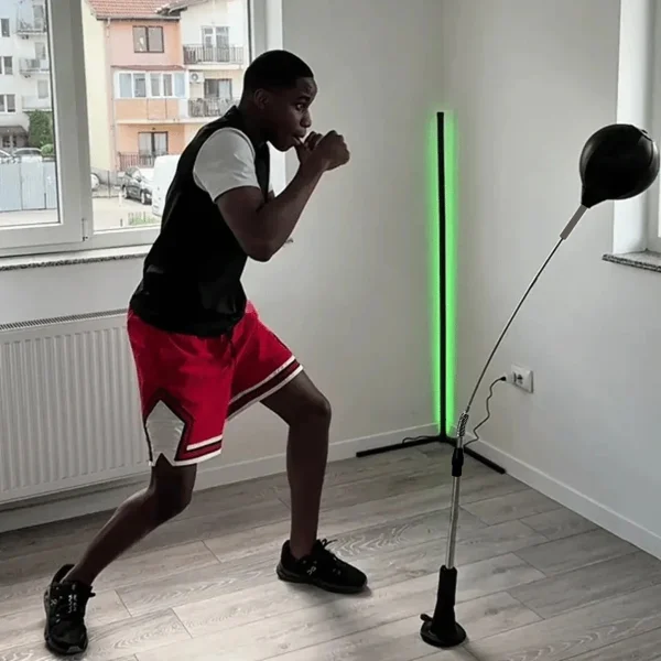 New Premium Punching Bag